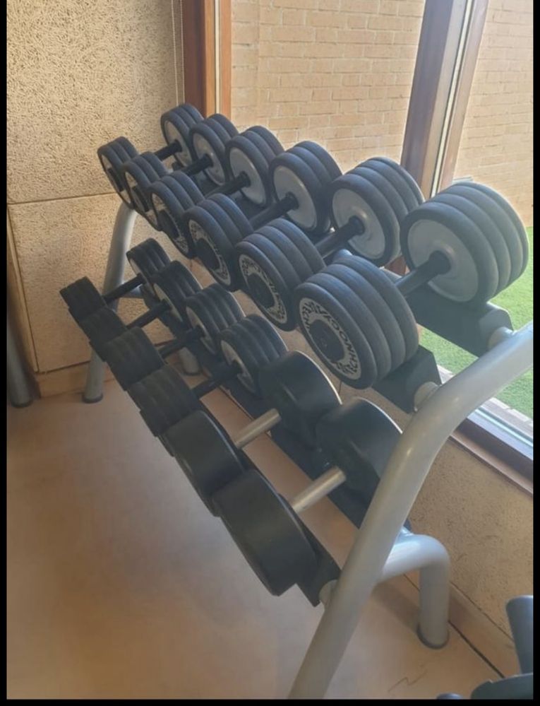 Set Halteres Technogym